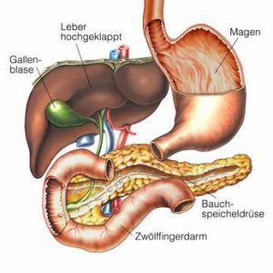 Gallenblase trinken ohne alkohol Durchhalten ohne
